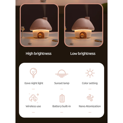 Humidifier with Mood Light